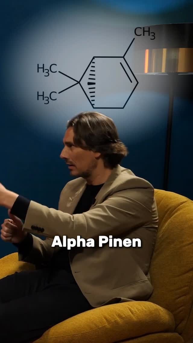 Post 4 by Aleksandar Saša Kalem on Instagram (video)