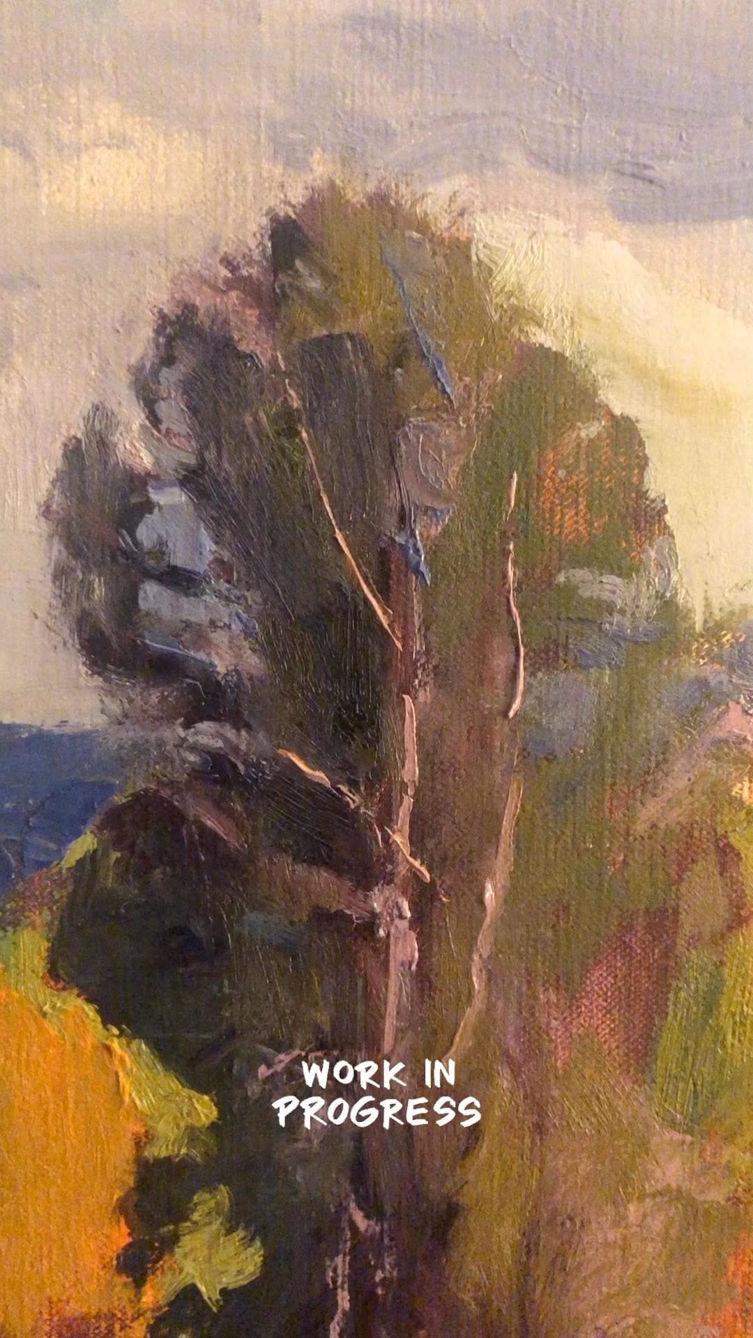 Post 6 by Mark James Lucas on Instagram (video)