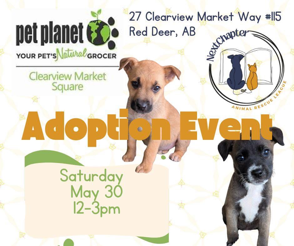 Post 2 by Next Chapter Animal Rescue on Instagram (image)
