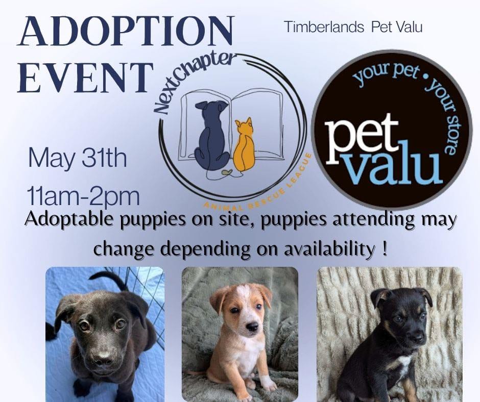 Post 1 by Next Chapter Animal Rescue on Instagram (image)