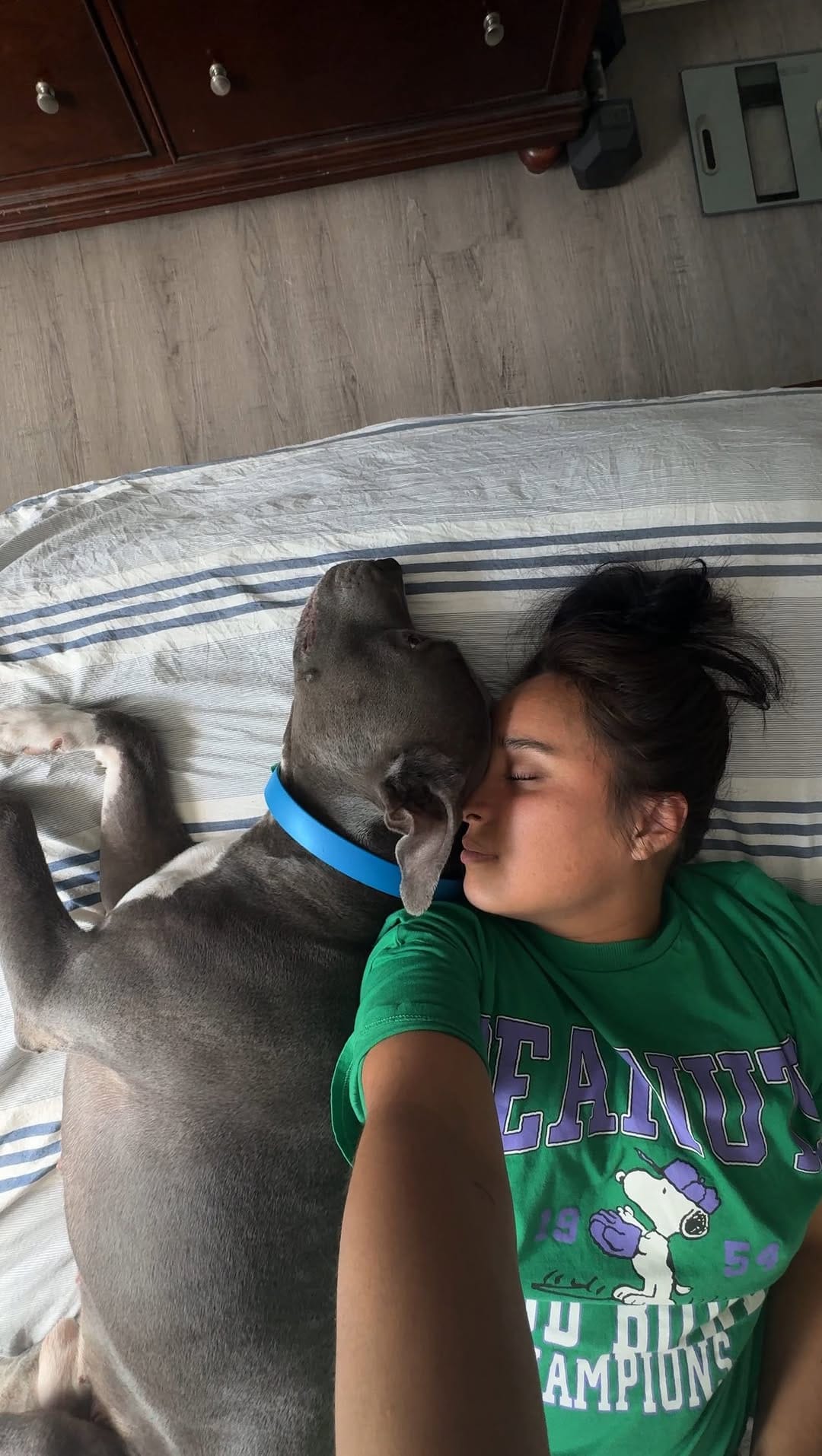 Post 8 by Andrea | Rocky | Milo | Brix on Instagram (video)