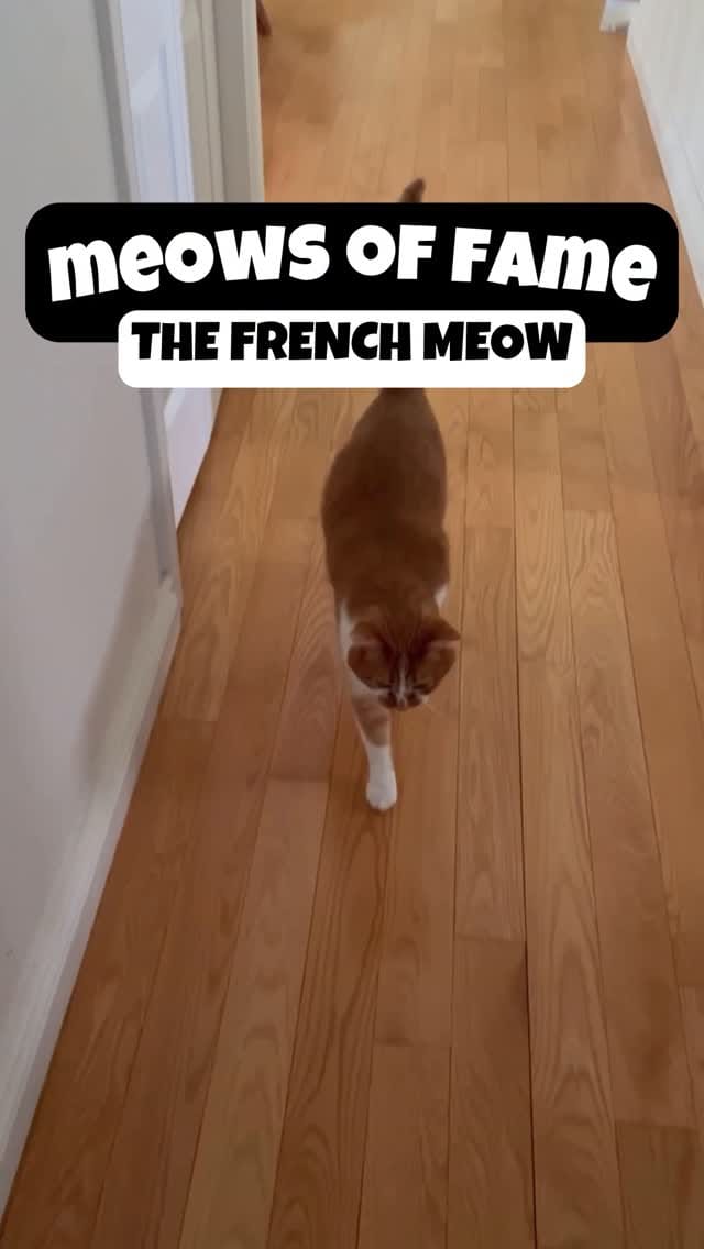 Post 9 by Beauty and the Bean on Instagram (video)