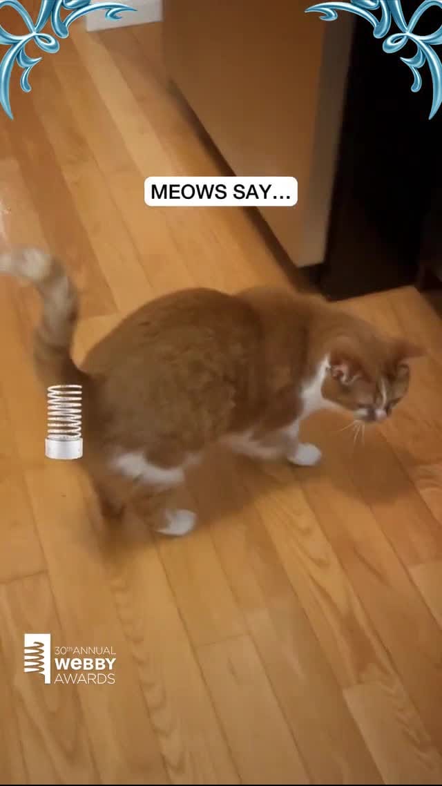 Post 6 by Beauty and the Bean on Instagram (video)