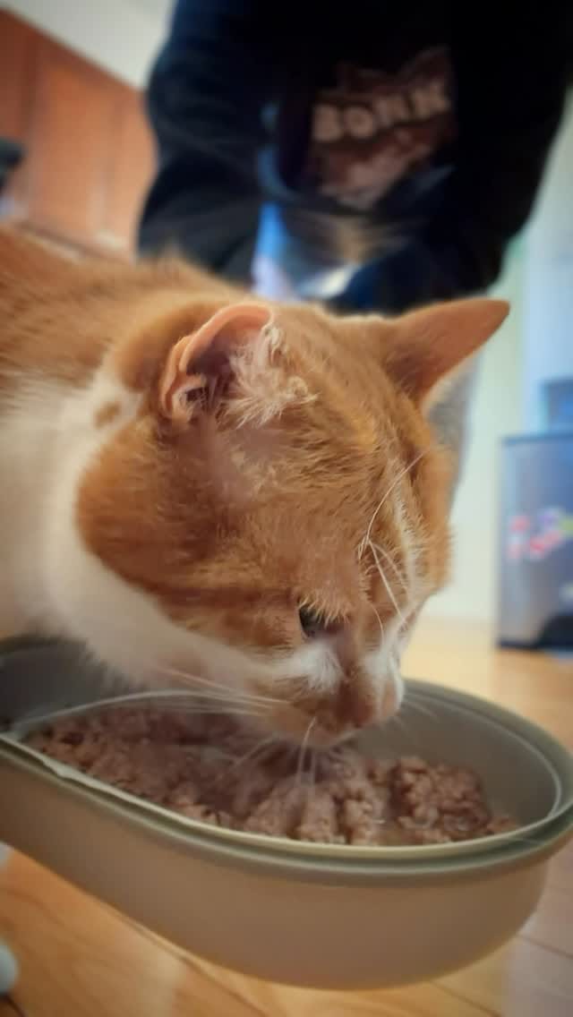 Post 5 by Beauty and the Bean on Instagram (video)