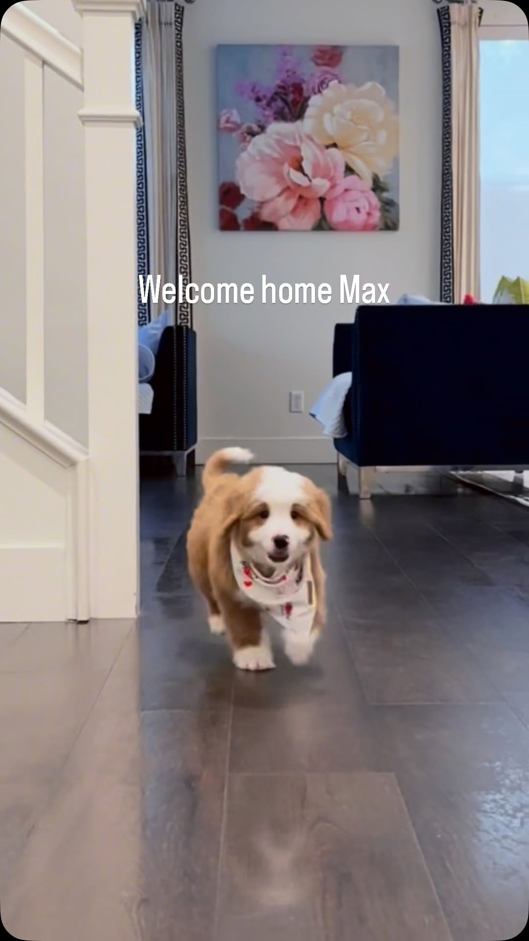Post 9 by Sophie Shih on Instagram (video)