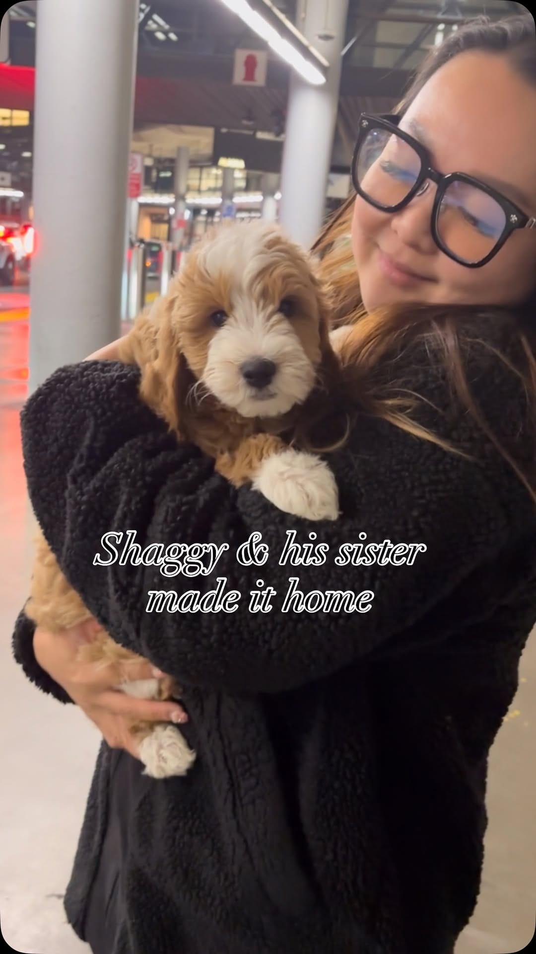 Post 10 by Sophie Shih on Instagram (video)