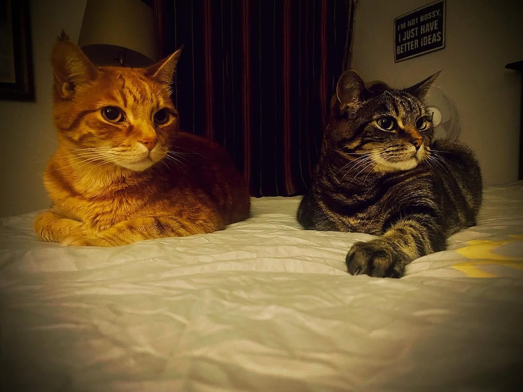 Post 9 by Ricky Sitz on Instagram (image)