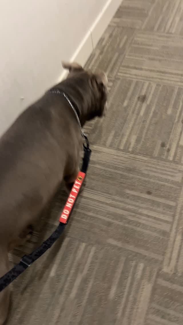 Post 9 by J  O  H  N   J. on Instagram (video)