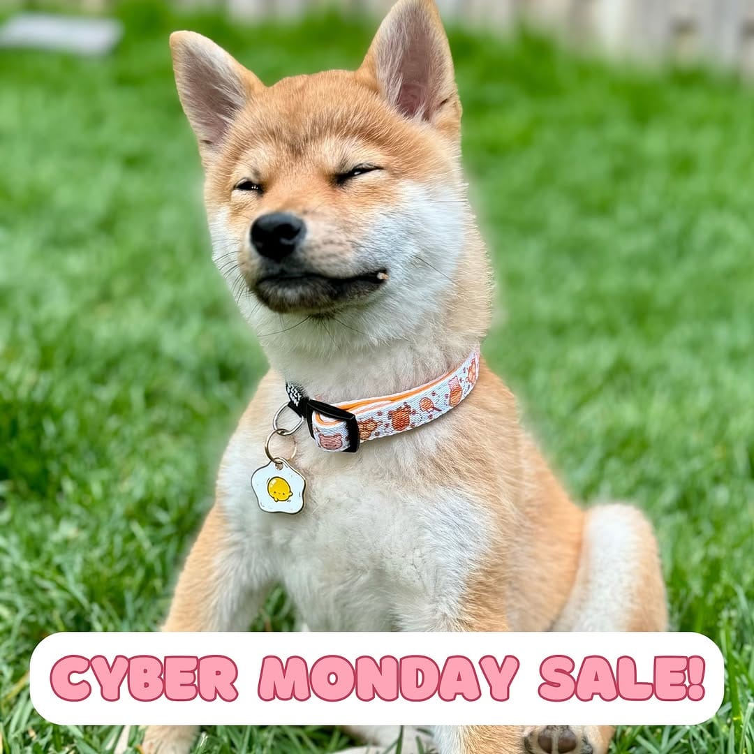 Post 2 by Fuzzy Paw Co. on Instagram (image)