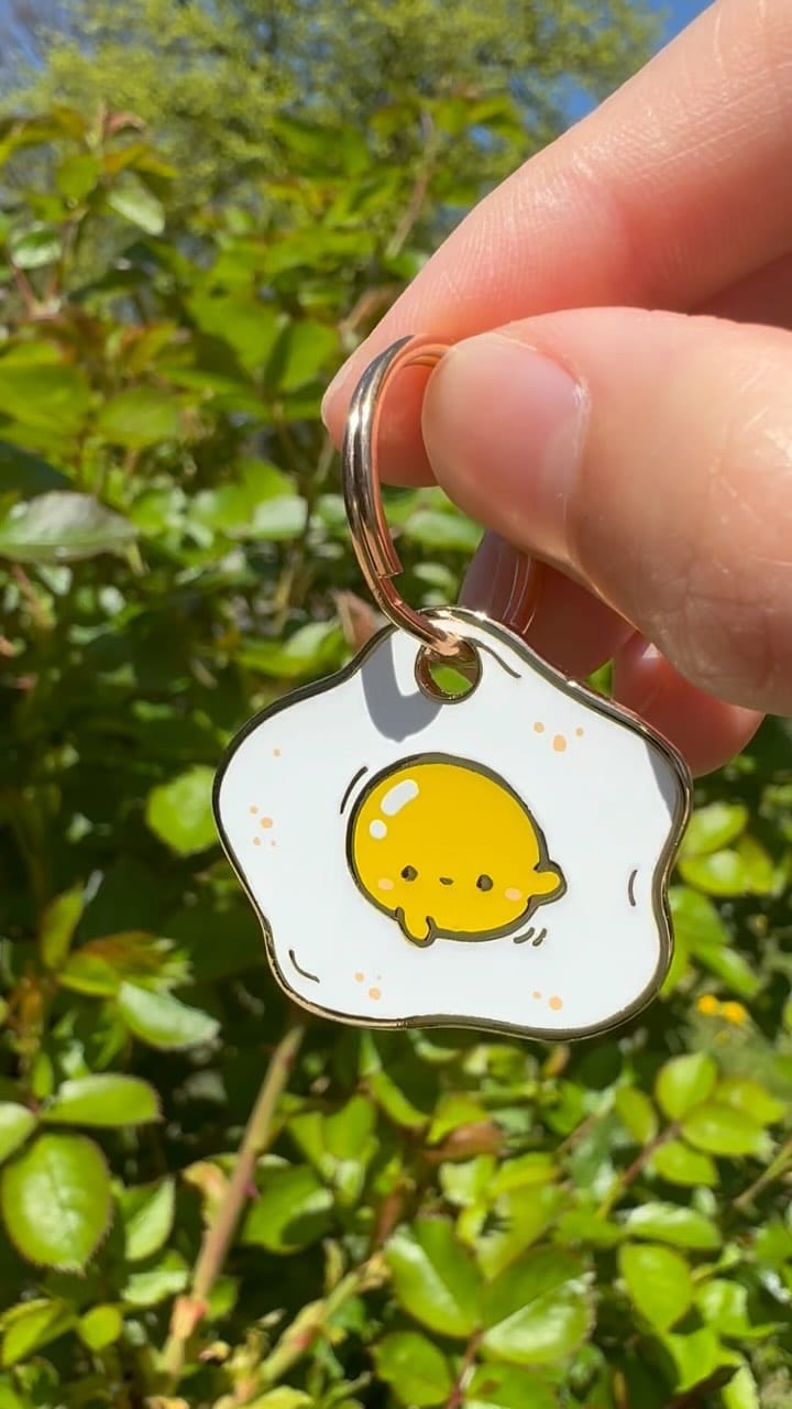 Post 10 by Fuzzy Paw Co. on Instagram (video)