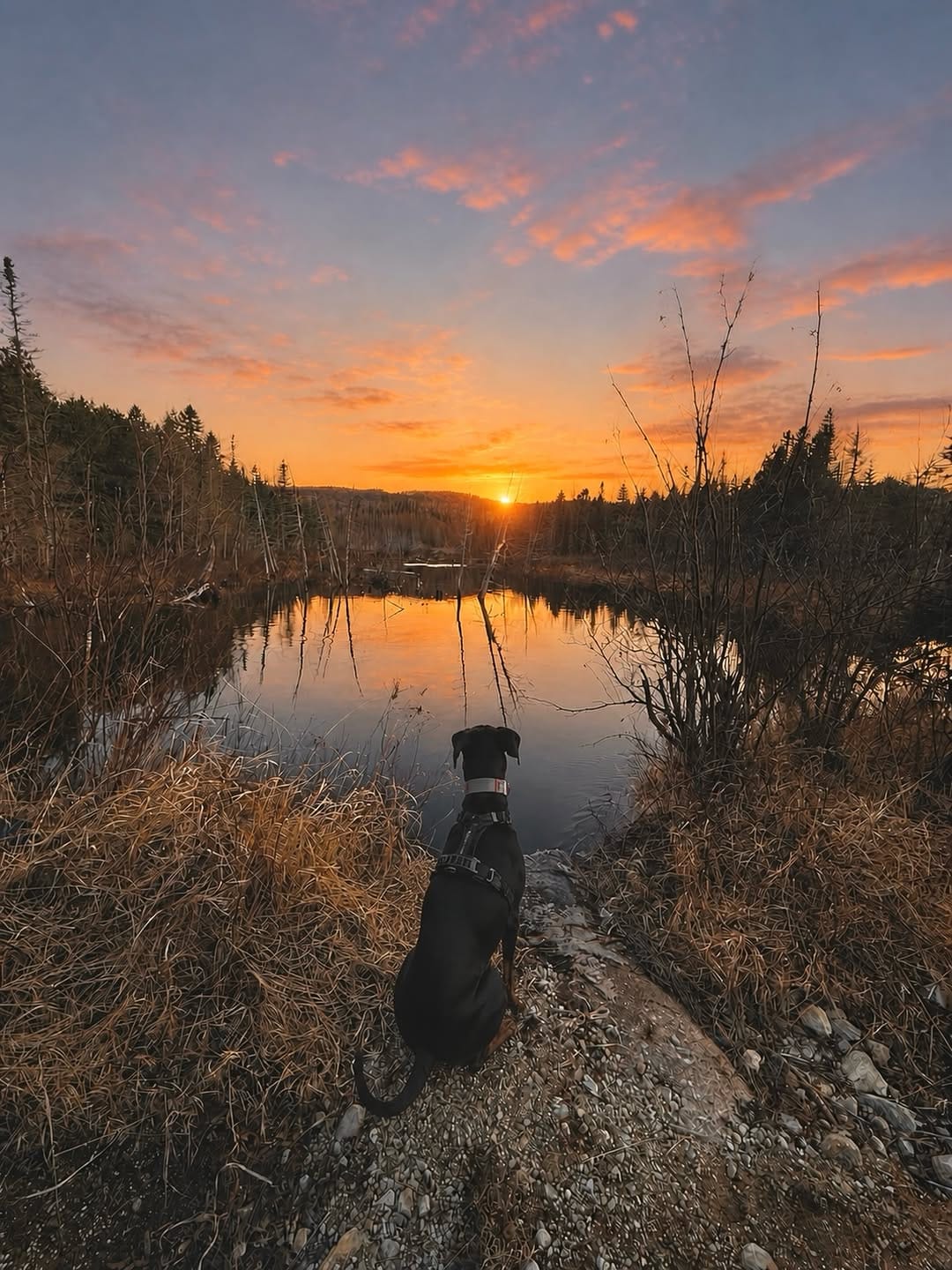 Post 10 by La vie au lac on Instagram (image)
