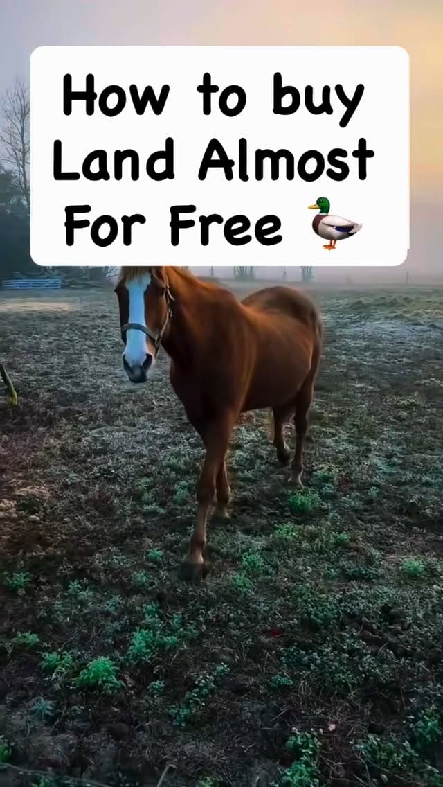 Post 7 by Rashad on Instagram (video)