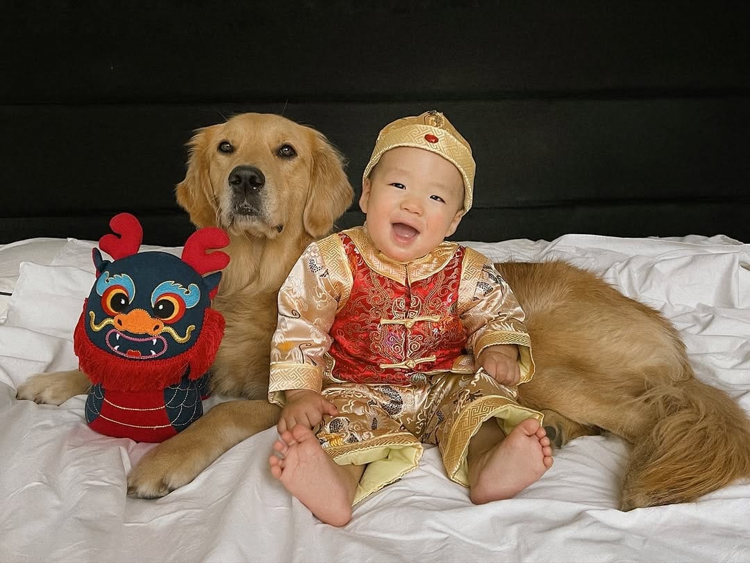 Post 10 by Bailey the Happy Goldie on Instagram (image)