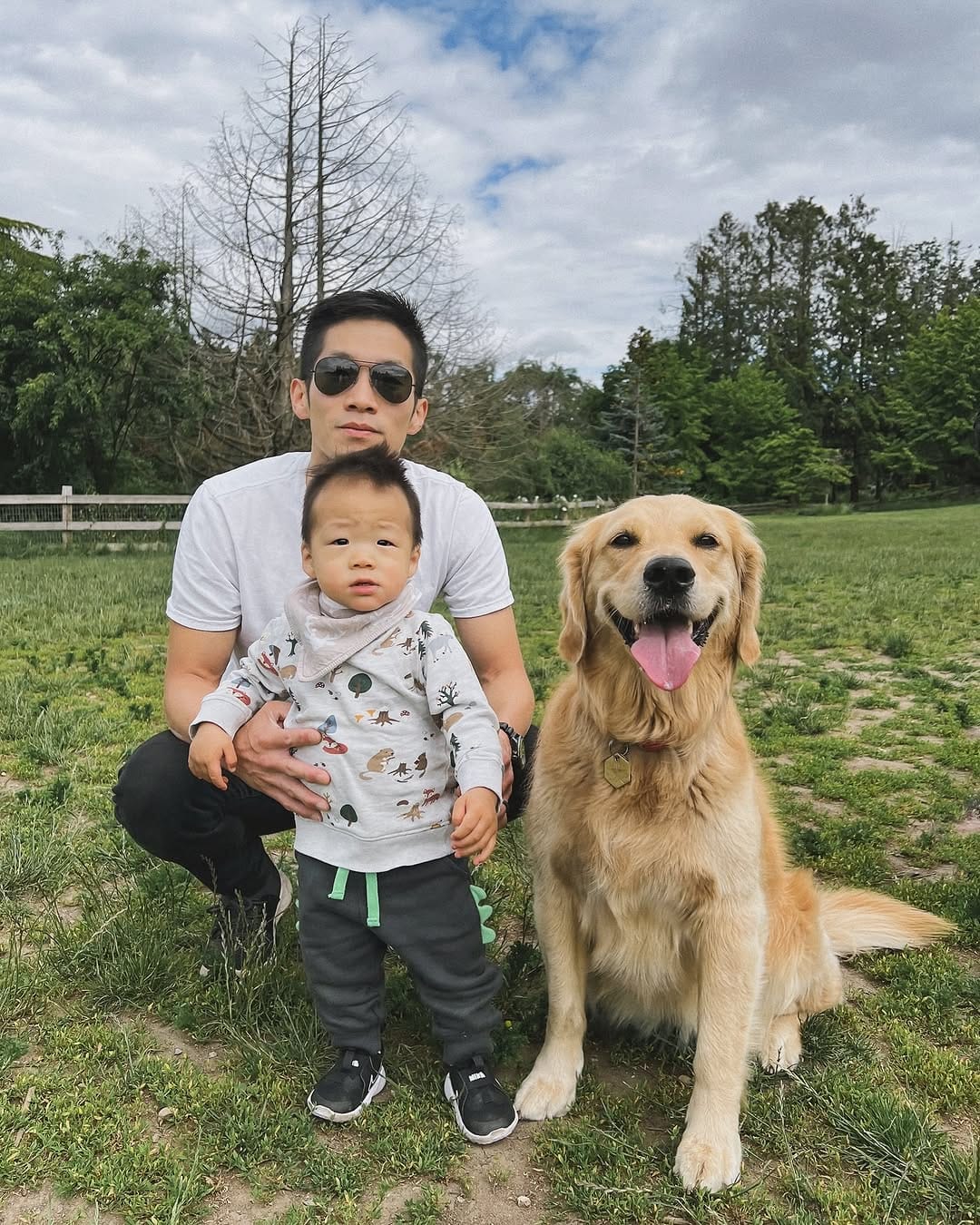 Post 8 by Bailey the Happy Goldie on Instagram (image)