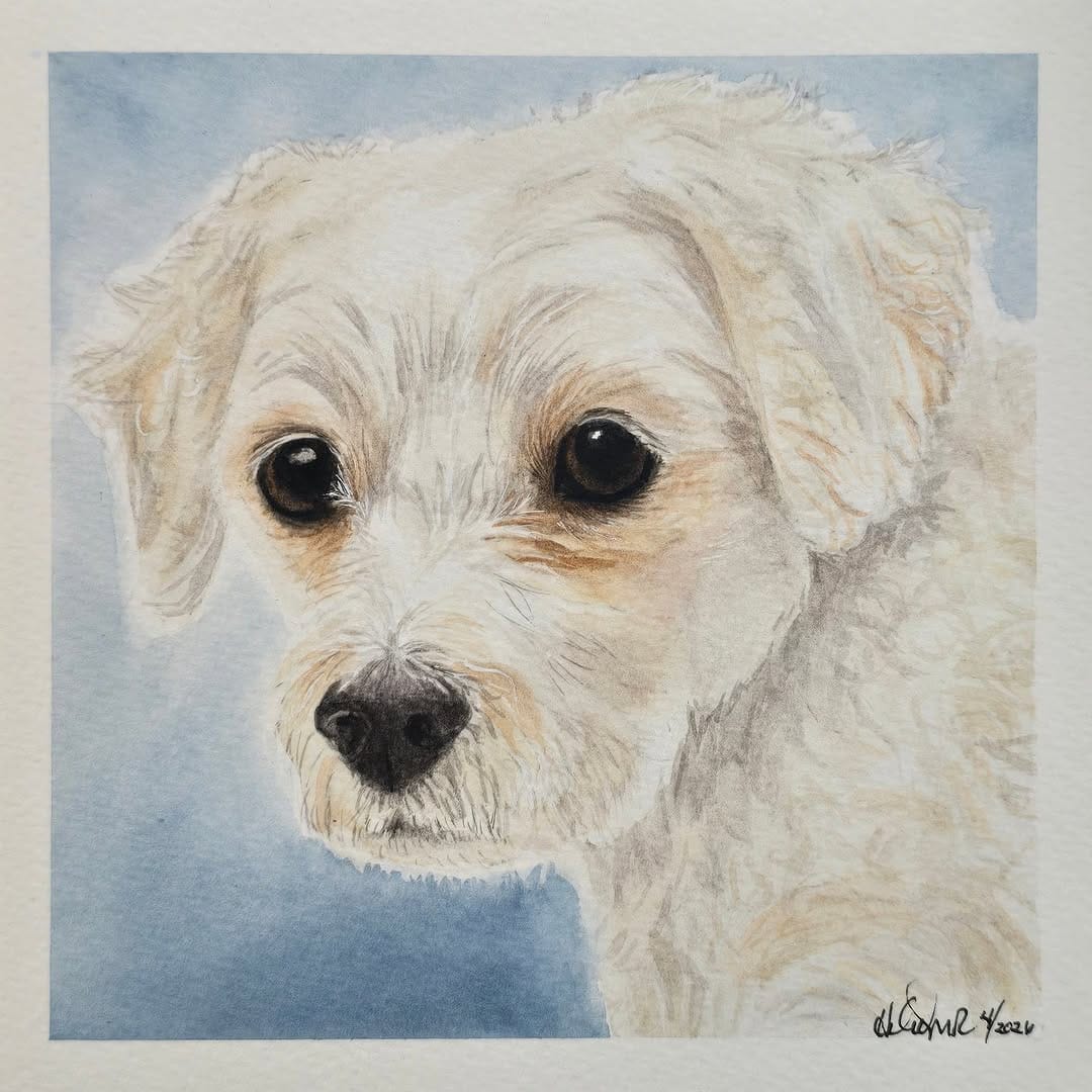 Post 6 by Pets and Paints by Helen MR, Supervised Leia 🐶 on Instagram (carousel)