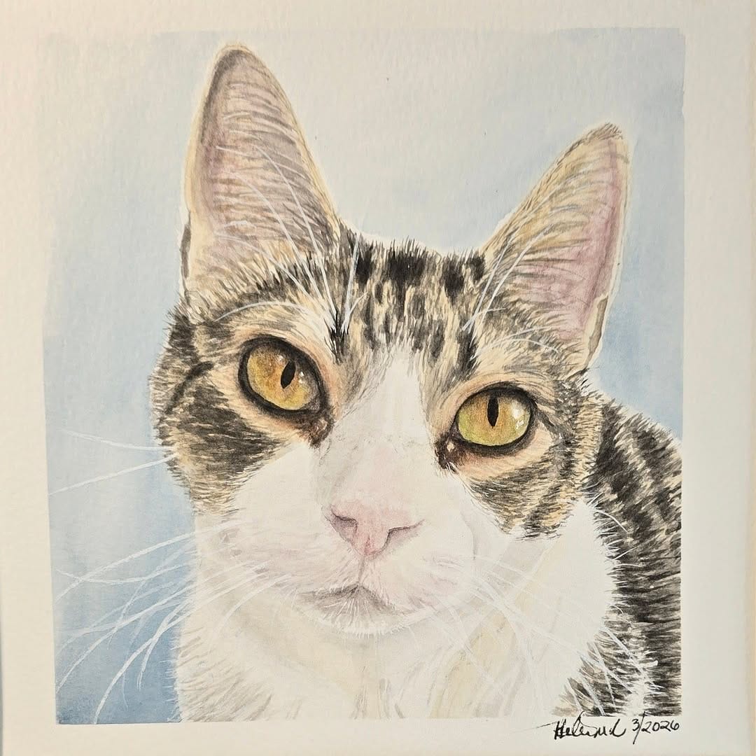 Post 9 by Pets and Paints by Helen MR, Supervised Leia 🐶 on Instagram (carousel)
