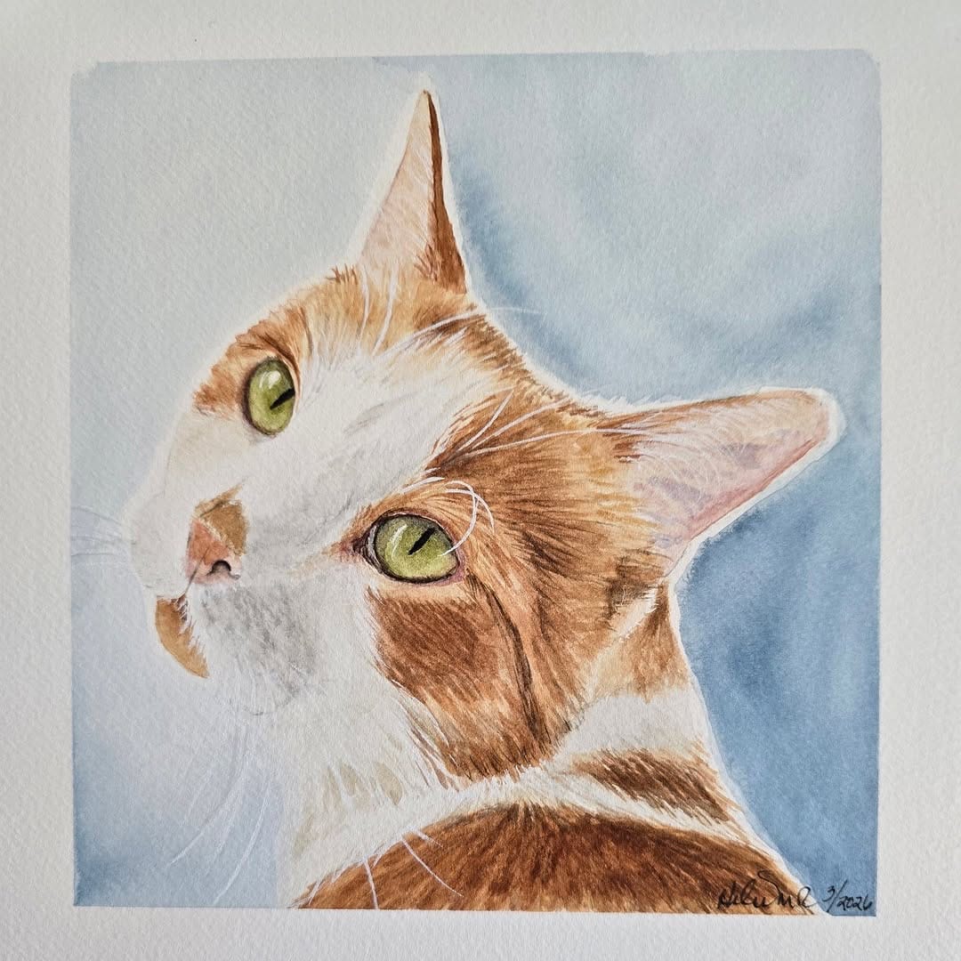 Post 10 by Pets and Paints by Helen MR, Supervised Leia 🐶 on Instagram (carousel)
