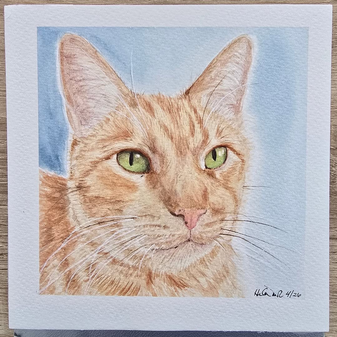 Post 2 by Pets and Paints by Helen MR, Supervised Leia 🐶 on Instagram (carousel)