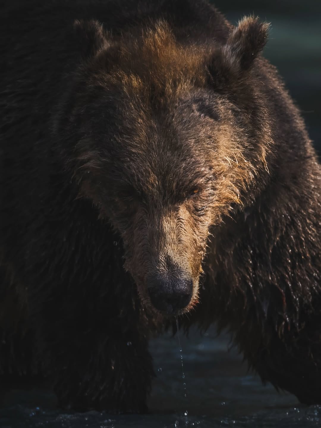 Post 1 by Chase Teron on Instagram (image)