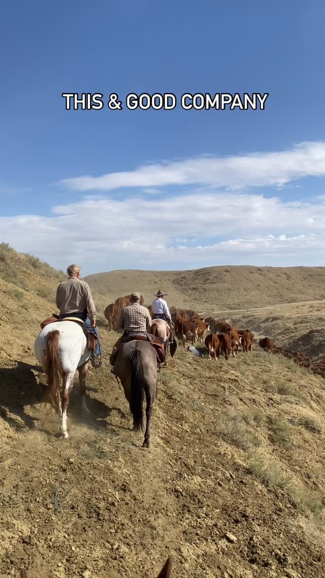 Post 9 by Keely Gibb on Instagram (video)