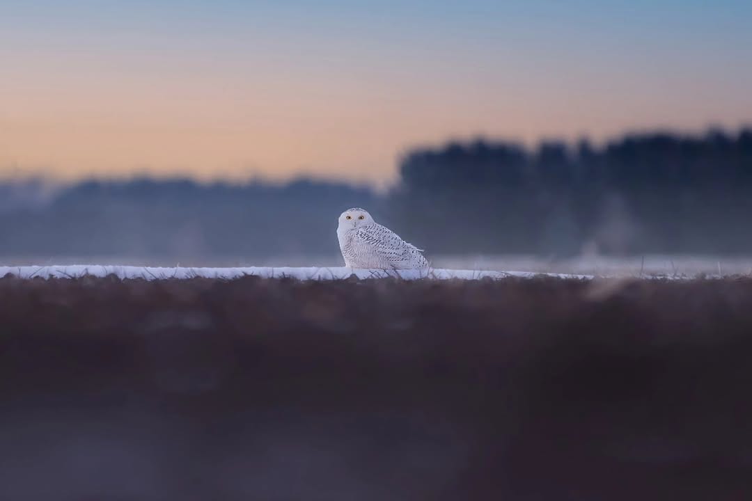 Post 7 by Nick Seman on Instagram (image)