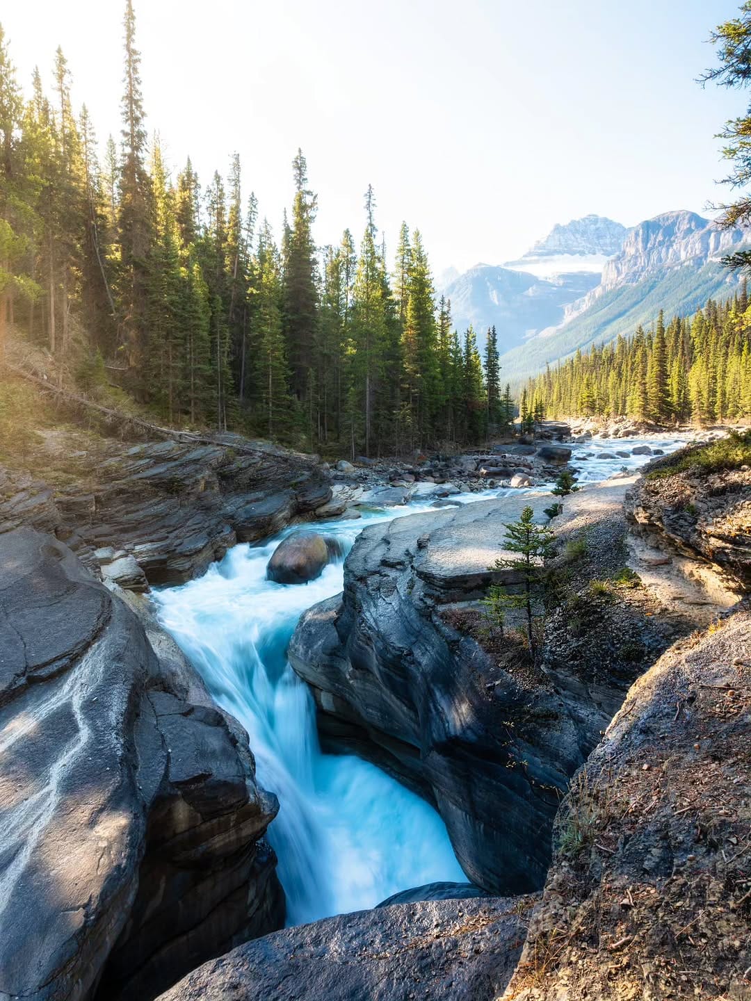 Post 2 by Nick Seman on Instagram (image)