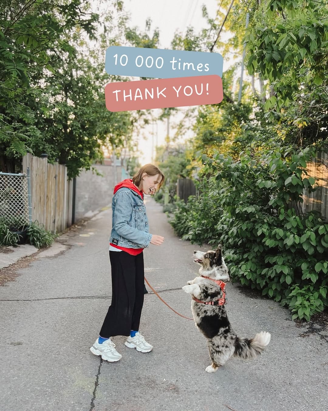 Post 4 by Véronique Blain on Instagram (image)