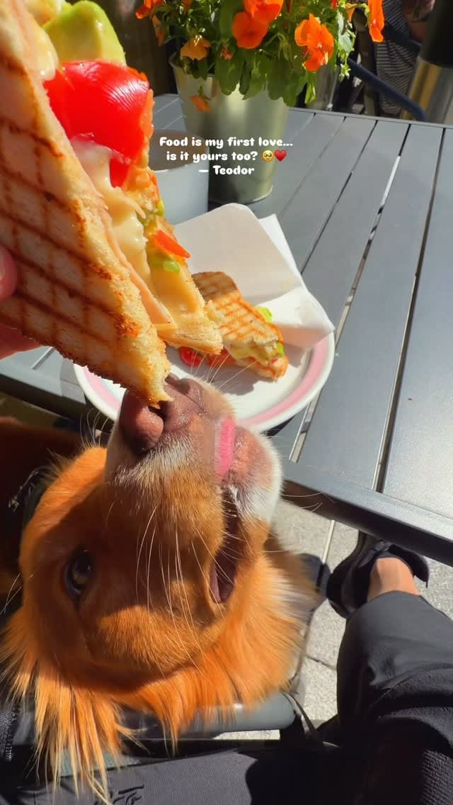 Post 4 by Konrad - Teodor - Anne-Beth on Instagram (video)