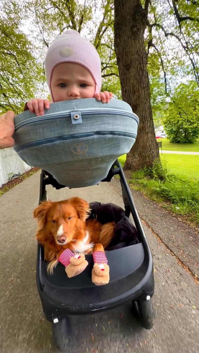 Post 5 by Konrad - Teodor - Anne-Beth on Instagram (video)