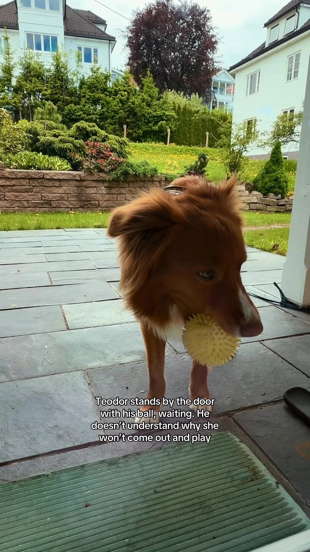 Post 3 by Konrad - Teodor - Anne-Beth on Instagram (video)