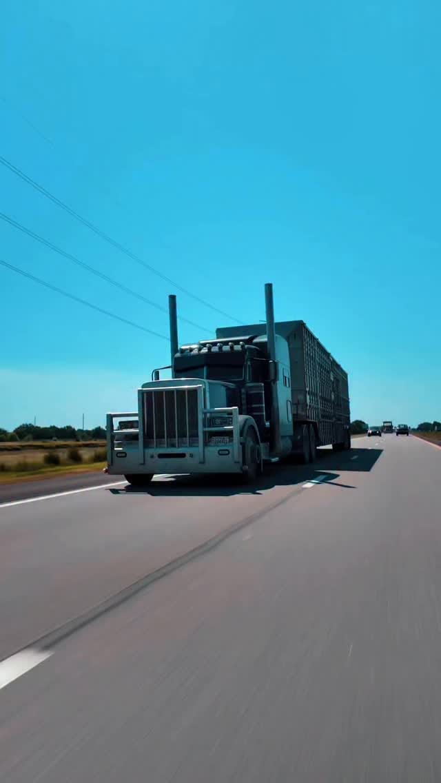 Post 8 by Pindan Aaley on Instagram (video)