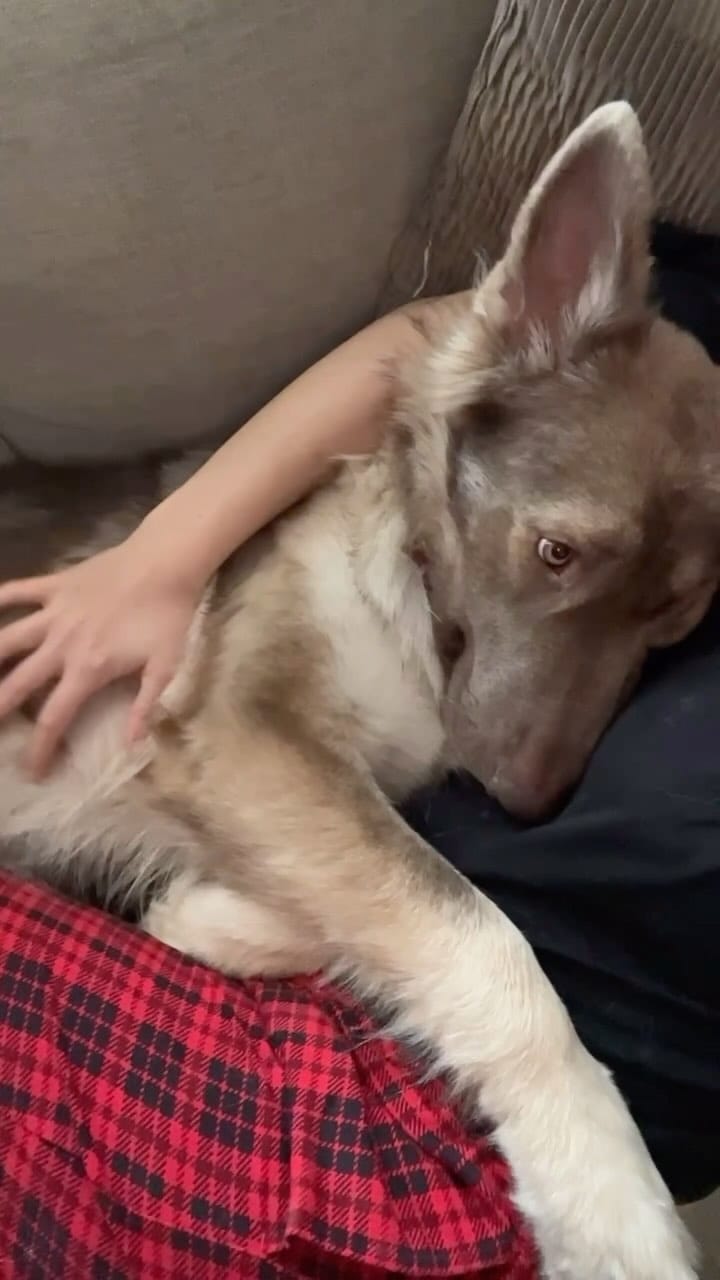Post 8 by Jenna | Goose & Ada on Instagram (video)