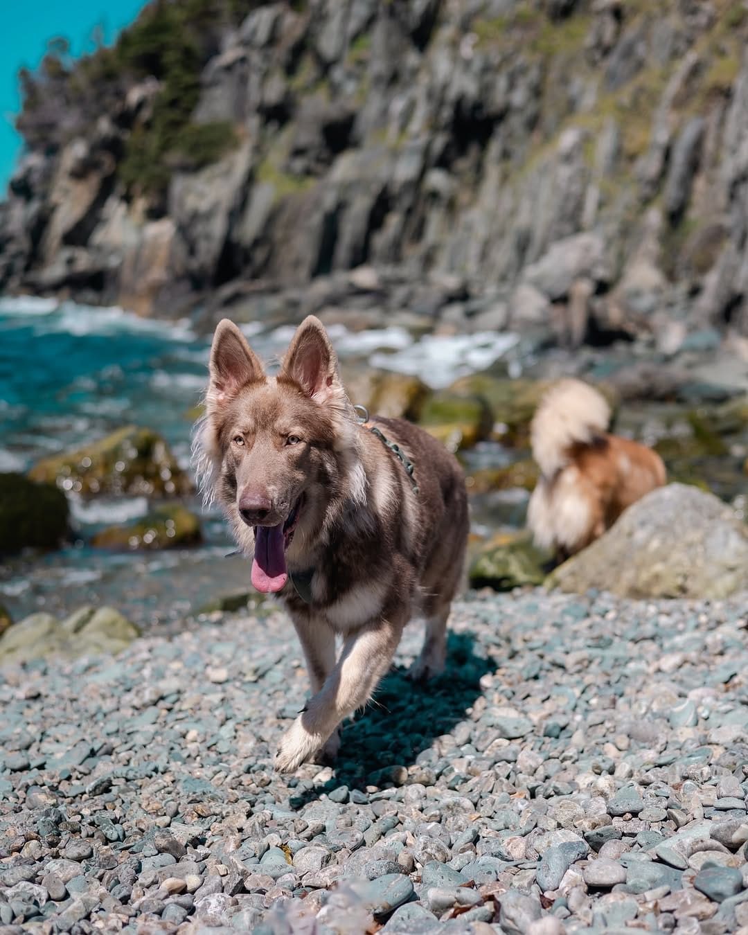 Post 3 by Jenna | Goose & Ada on Instagram (image)