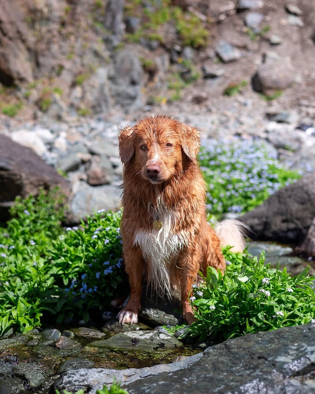 Post 2 by Jenna | Goose & Ada on Instagram (image)