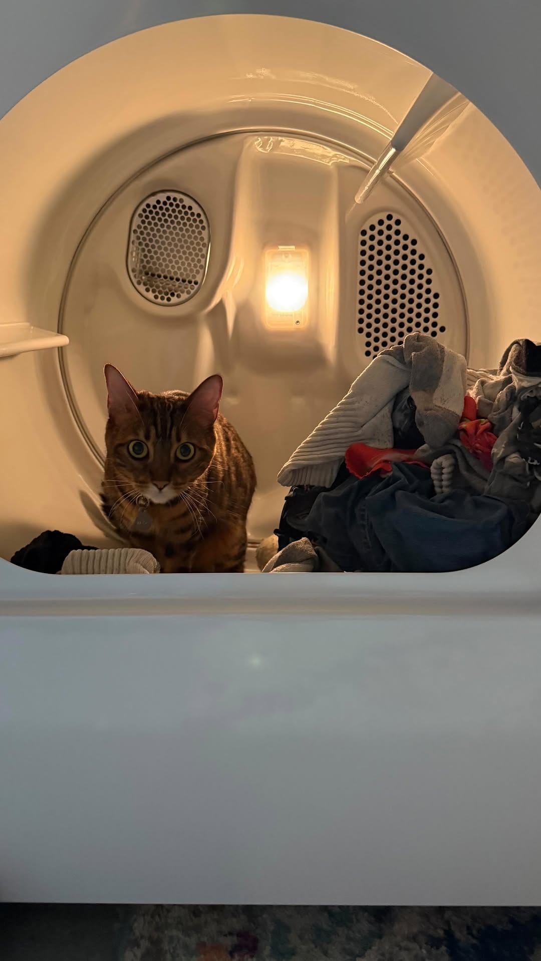 Post 7 by Kelsea, Ernest, and Marlin on Instagram (video)
