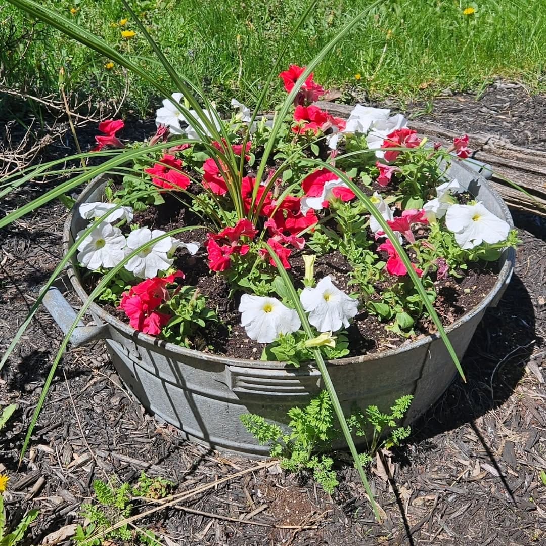 Post 10 by Leanne S Garden on Instagram (carousel)
