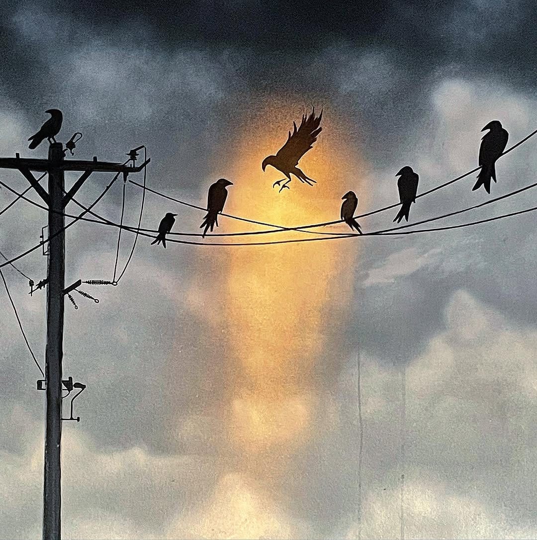 Post 4 by Benoit Laroche on Instagram (image)