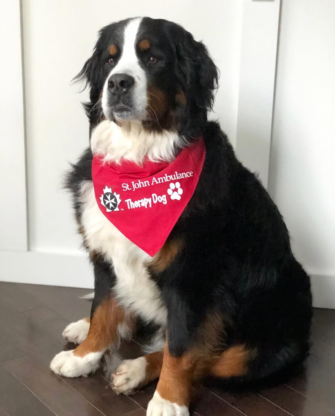Post 1 by The Adventures Of Lucy & Finn on Instagram (carousel)