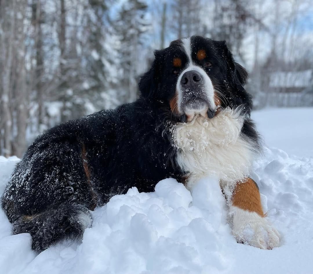 Post 8 by The Adventures Of Lucy & Finn on Instagram (image)