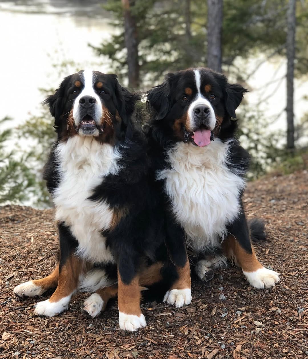 Post 10 by The Adventures Of Lucy & Finn on Instagram (image)