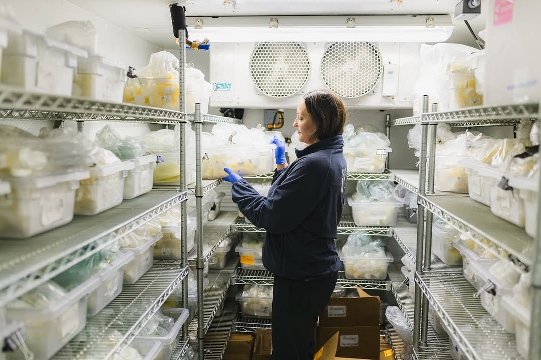 Post 4 by Hamilton Health Sciences on Instagram (carousel)
