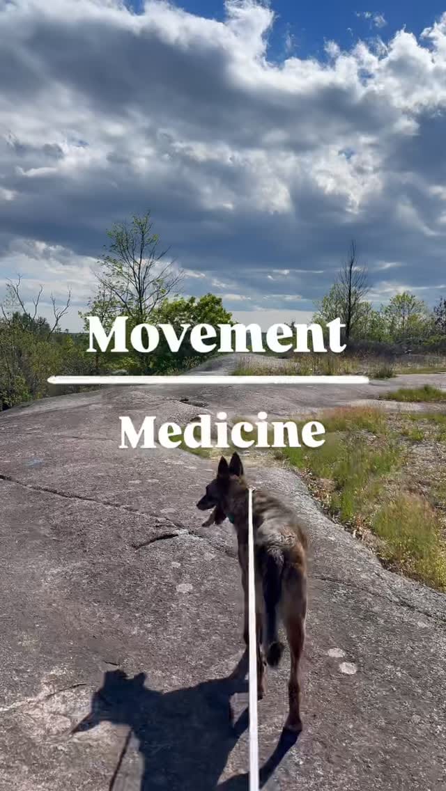 Post 1 by Emma- founder of WWMO on Instagram (video)
