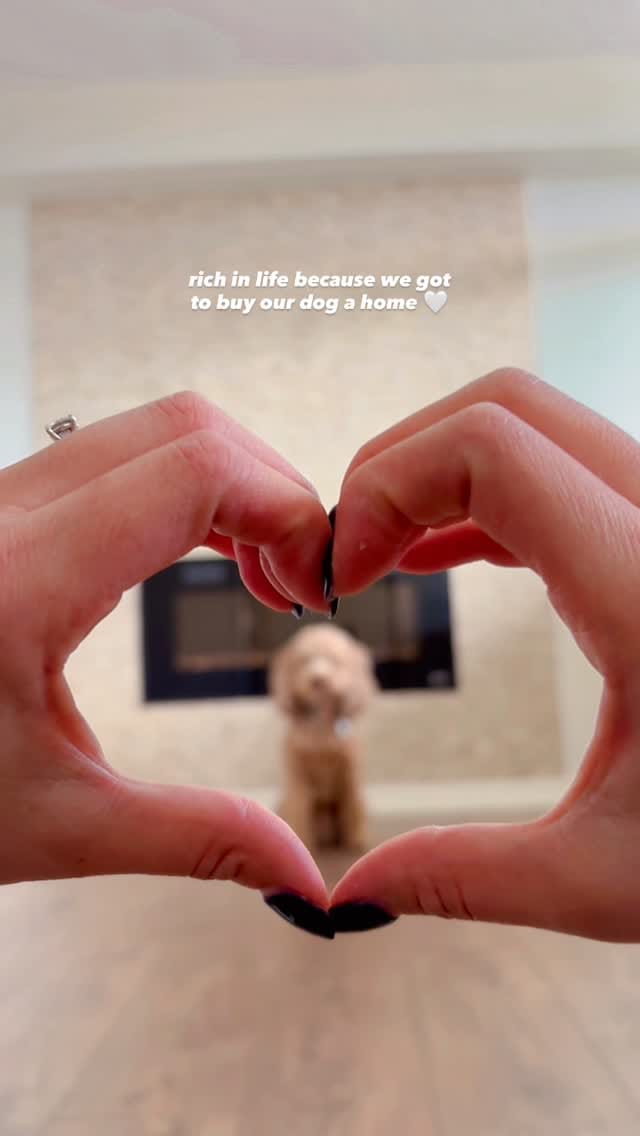 Post 3 by Russ 🐾 & Morgan 👋🏼 on Instagram (video)