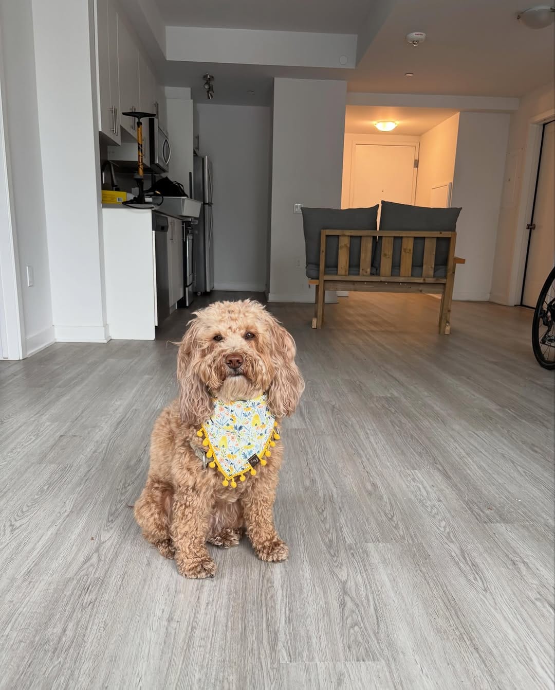Post 1 by Russ 🐾 & Morgan 👋🏼 on Instagram (carousel)