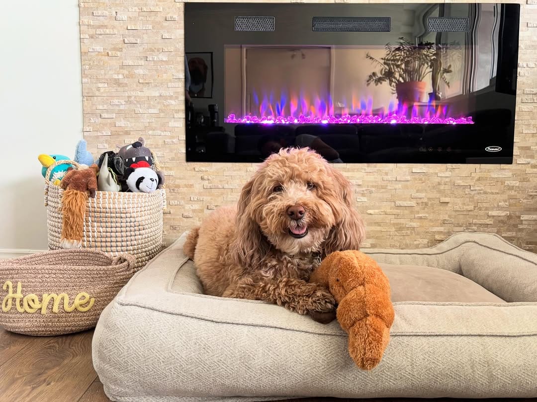 Post 4 by Russ 🐾 & Morgan 👋🏼 on Instagram (image)