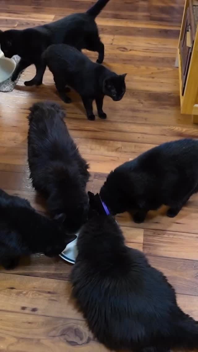 Post 6 by The 10 Acre Woods on Instagram (video)