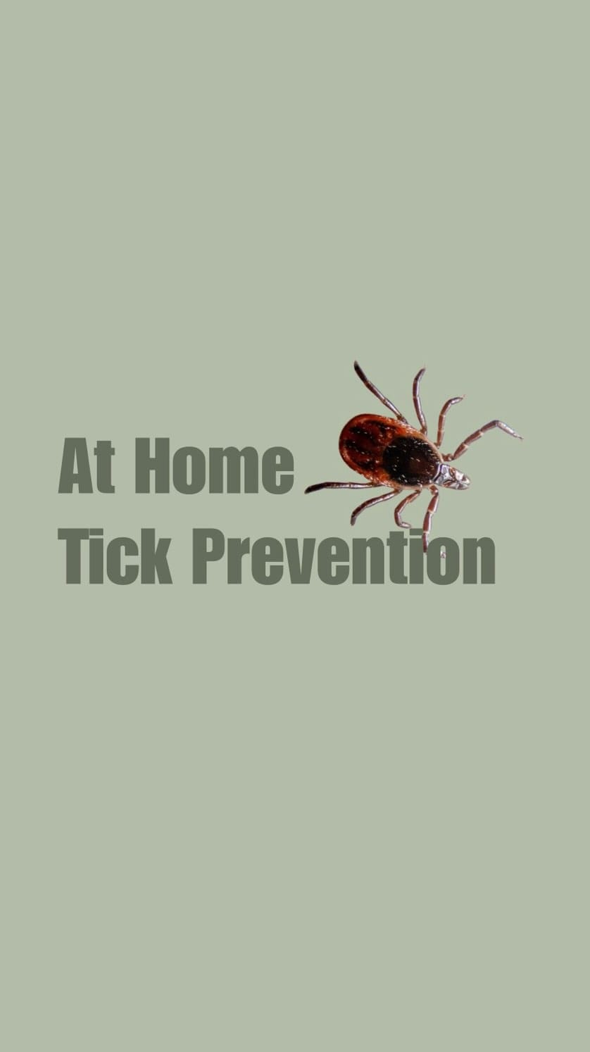 Post 3 by DR. ASHTEN BUCK, ND 🌿 on Instagram (video)
