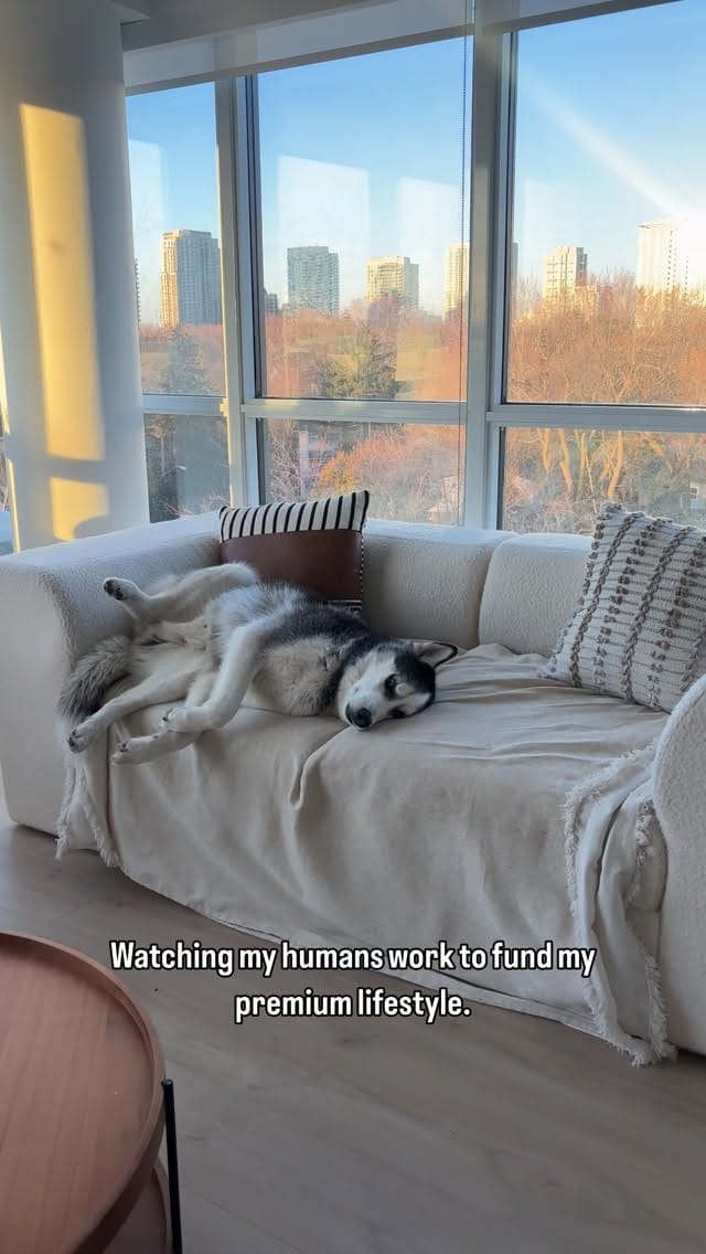 Post 1 by Leo on Instagram (video)