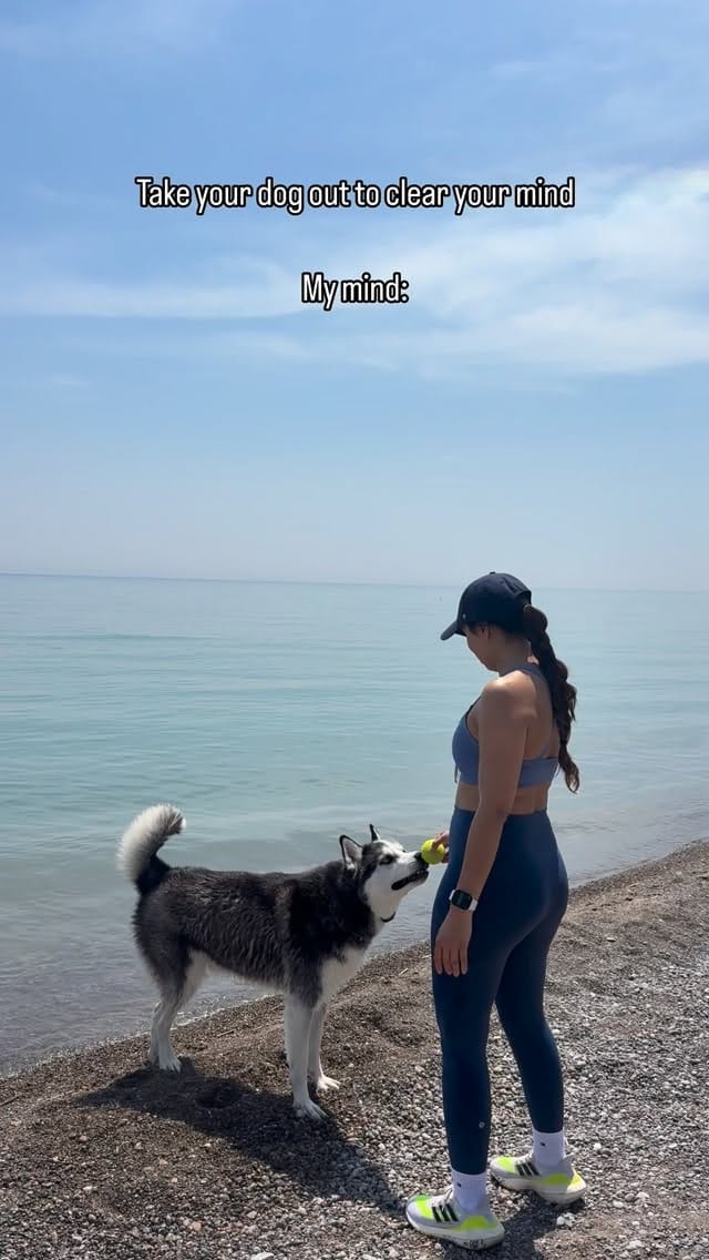 Post 2 by Leo on Instagram (video)