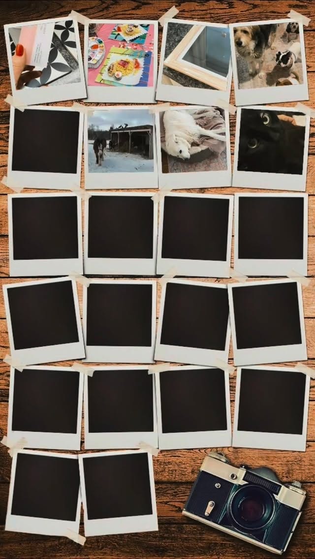 Post 1 by Coveted Canines and Creatures on Instagram (video)